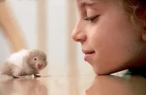 тварину