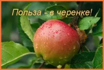 Вітамін В12 та вегетаріанство все, що потрібно знати! вегетаріанство