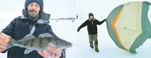 рибу