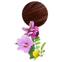 Хіна для волосся Aroma-zone Коричневий гранат - «Ця хна, а точніше суміш трав для фарбування волосся - точніше
