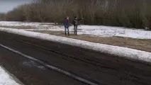 Жити поруч із лісом стає клопітно стає