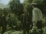 Фільм Тропом безкорисливого кохання фото, відео, список акторів - Навколо ТБ відео