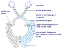 част