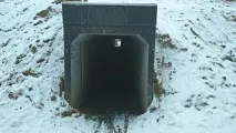 Абрамцевська просіка просіка