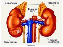 Аденоми наднирника розвивається безсимптомно наднирника
