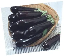 Баклажан Syngenta - Наша справа, Наша справа syngenta