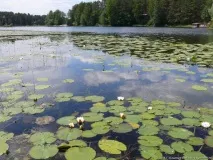 База відпочинку Яльчик Марій Ел, ціни на путівки 2017 р марій