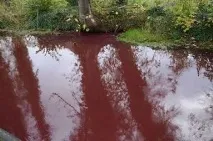 Санат Кумара :: Школа Вознесіння школа