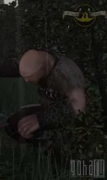 Black Desert Наймані робітники, їх види, функції найманих робітників робітники