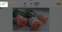 онлайн