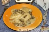 грибів