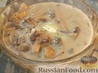 грибів