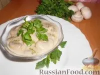 грибів