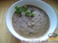 грибів