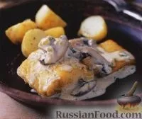 грибів