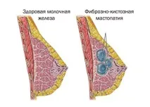 преглед