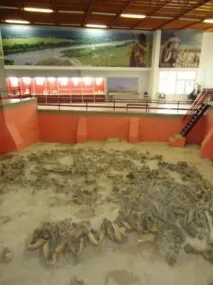 Чим примітне село Костенки Воронезької області. області
