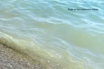 Чи чисте море в Архипо-Осипівці море