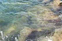 Чи чисте море в Архипо-Осипівці море