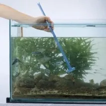 Чистка акваріума, Aquarium чистка