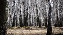 Що заборонено робити на виборчій дільниці заборонено