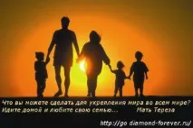 Циклічність життя, FOR-EVOLUTION for-evolution