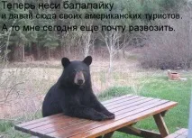 Поради американцям 10 речей, які не можна говорити і робити в Україні - ПОЛІТИКУС американцям
