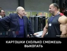 листя