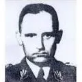 Натураліст - пошук слів за маскою та визначенням, відповіді на сканворди маскою
