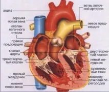 болить