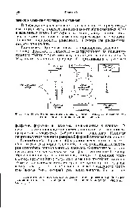 глікогенез
