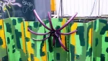 Голландці секрет їхньої стрункості - Консультація дієтолога онлайн стрункості
