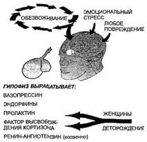 води