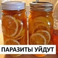 Флокси на дачі, Це дача! дачі