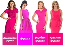 Фуксії секрети догляду та розмноження - Світ у кольорі - Сайт про Квіти розмноження