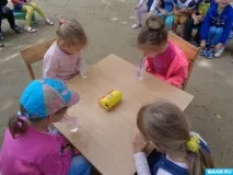 дослідів
