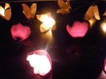 Гірлянда з коробок для яєць, своїми руками своїми