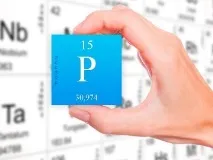 Гіпофосфатемія, гіперфосфатемія та норма фосфору в крові норма