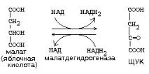 окисленото вещество