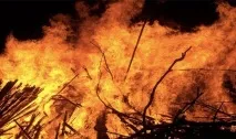 Цікаві історії та цікаві факти з тюремного світу, розважальний портал факти