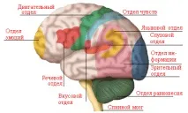 Інсульт - реабілітація у Китаї інсульт