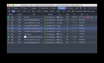 Інструменти розробника Firefox, MDN розробника