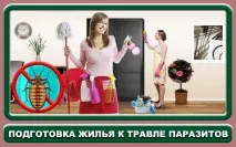 Як використовувати препарат Цифокс від клопів препарат