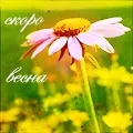 слів