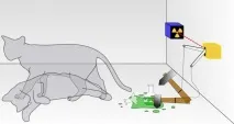 Як коти знімалися в кіно, співали і сиділи в коробці у Шредінгера, Тварини кіно