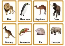 Як навчити дитину говорити швидко та правильно швидко