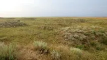 панське