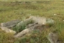 західного