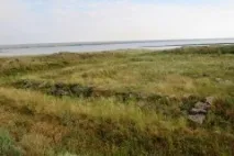 західного