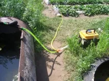 огірків
